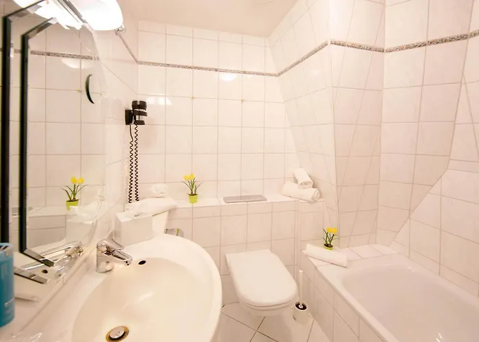 Montana Hotel 3*